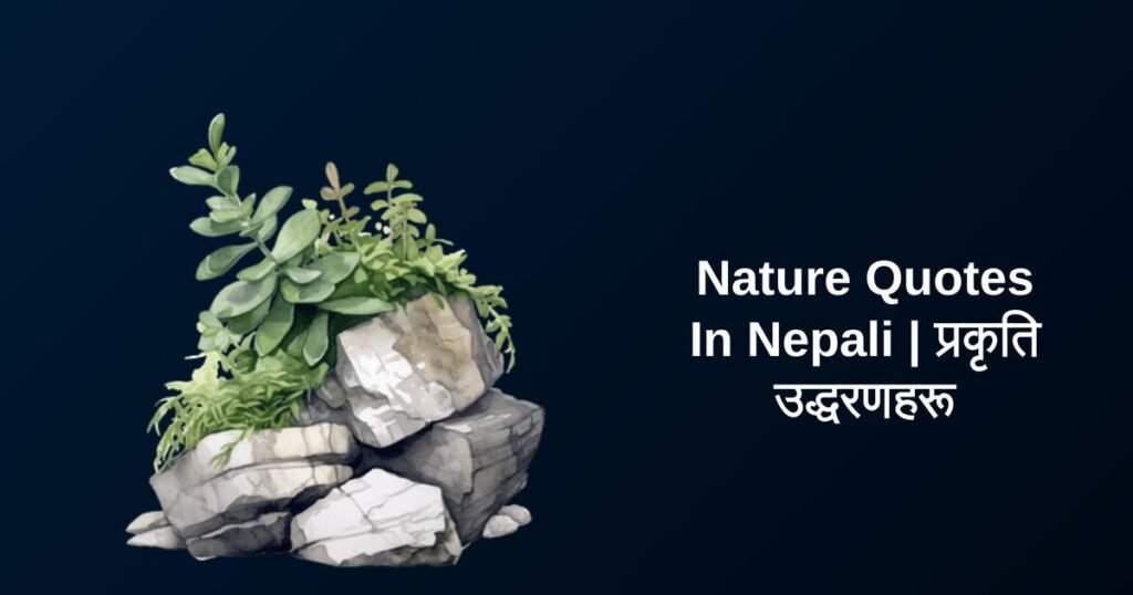 300+ Best Nature Quotes In Nepali | प्रकृति उद्धरणहरू